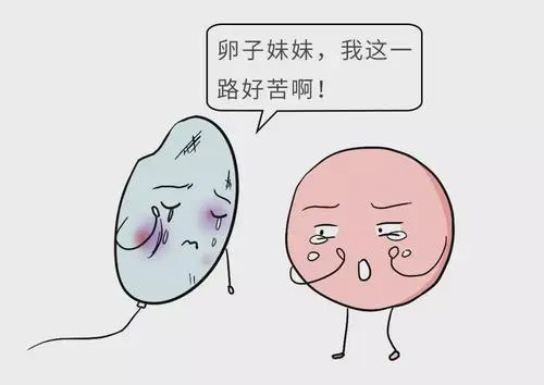 试管促排性激素水平有标准吗？