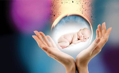 试管婴儿冷冻胚胎移植的成功率？